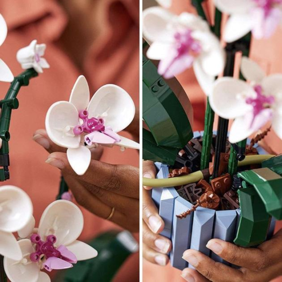 Конструктор Orchid (модель 10311) Київ