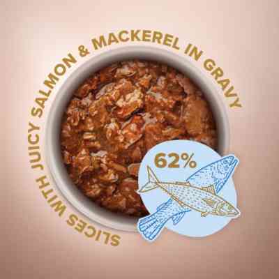 Влажный корм для собак Club 4 Paws Selection Плюс Кусочки с лососем и макрелью в соусе 85 г (4820215368056) Винница