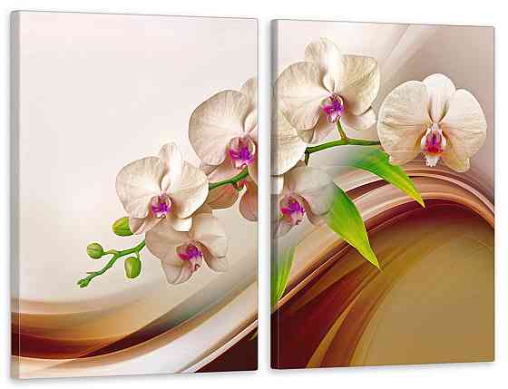Модульная картина в гостиную / спальню Орхідеї  TLV-2_144 90x132  см Киев