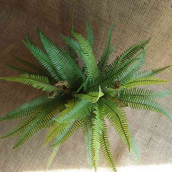 Штучний кущ міні папороті з латексу Дніпро