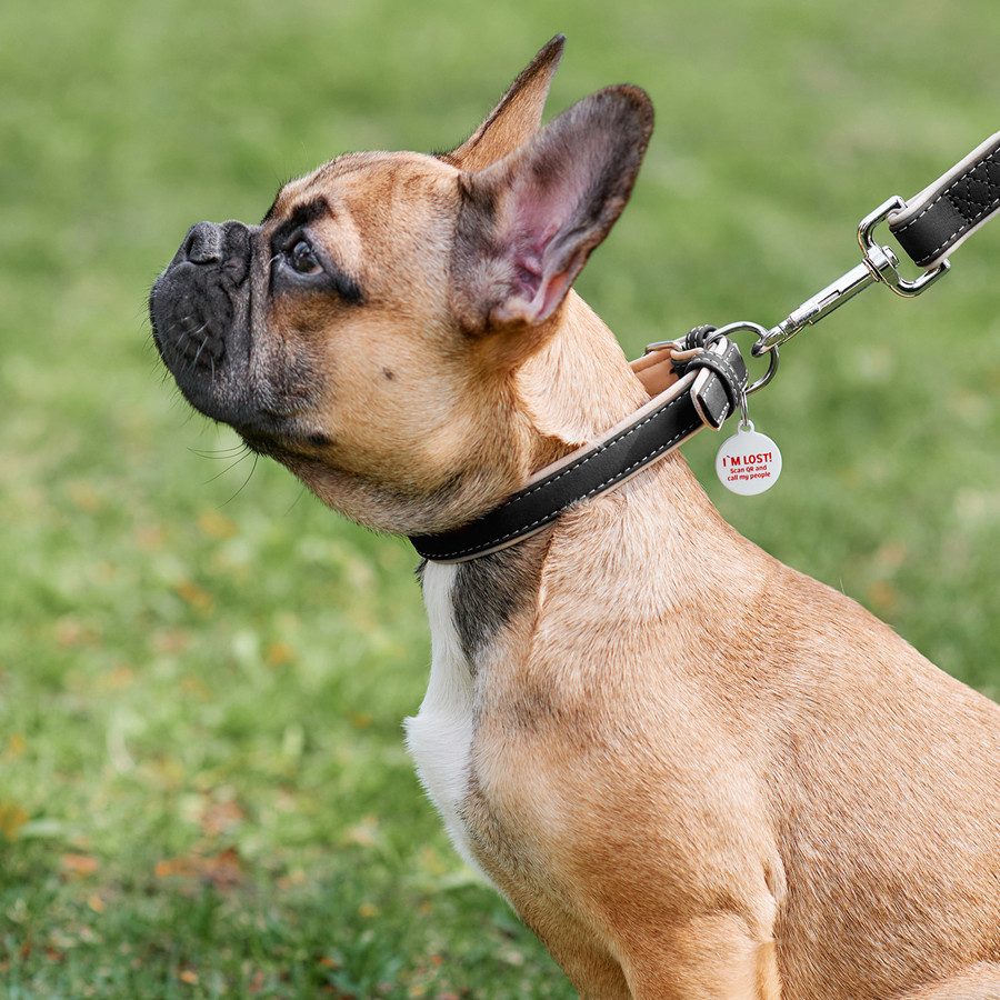 Нашийник для собак шкіряний WAUDOG Soft з QR паспортом, Ш 20 мм, Дов 30-39 см чорний Коломыя - изображение 5
