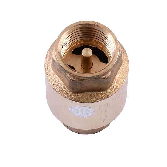 Клапан зворотного ходу води Q PROFESSIONAL 3/4″ QP100 Тернопіль