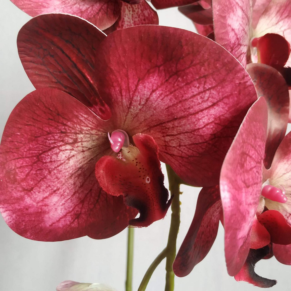 Штучна латексна орхідея VIP у сірому керамічному кашпо на одну бордову гілку Дніпро - фото 3