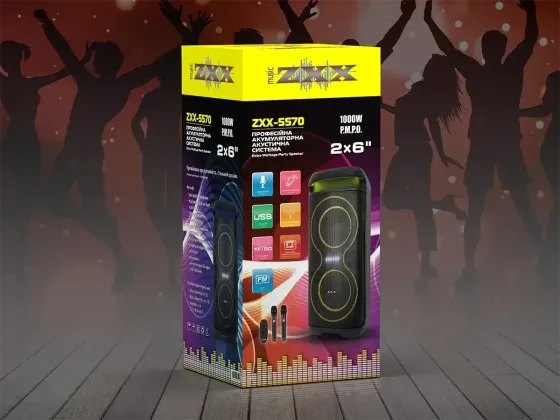 Портативна акустична колонка ZXX-5570 30Вт 2x6" Bluetooth, USB, TF, FM, LED, 2 бездротові мікрофони, пульт ДК Одеса