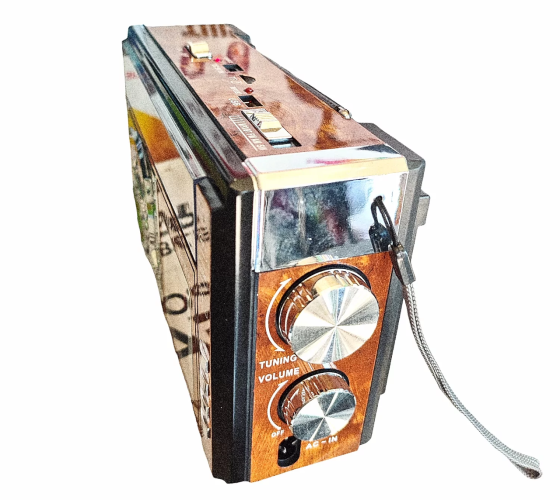 Акумуляторний радіоприймач Waxiba XB-961BT-C-S із сонячною панеллю Київ