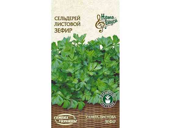 Селера листова ЗЕФИР НВ 0,5г (20 пачок) (рс) ТМ НАСІННЯ УКРАЇНИ Київ