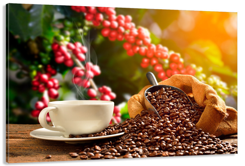 Картина холст в гостиную / спальню   Кава   MLP_370 60x100 см Киев - изображение 1