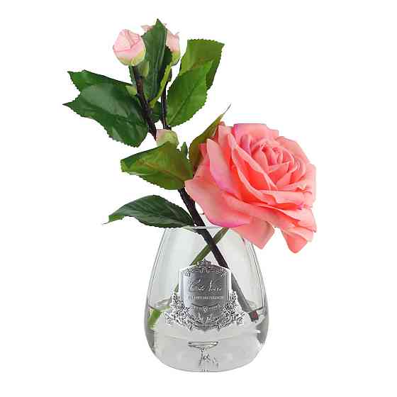 Парфумовані квіти Cote Noire «Чайна троянда-White Peach», арома спрей Рівне