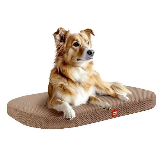 Лежанка для собак WAUDOG Relax, Доріс велюр, зі знімним чохлом, М, Ш 80 см, Дл 55 см Коломия