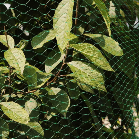 Сетка 20*20  ячейка 3м*5м для защиты от птиц зелёная Днепр - изображение 3