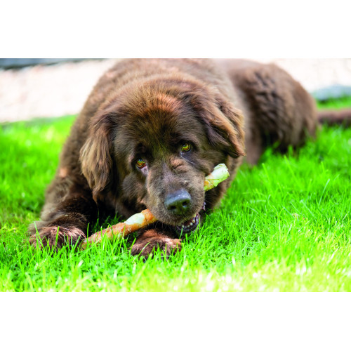 Лакомство Trixie Denta Fun Chewing Rolls для собак Палочки для чистки зубов с курицей 28 см 250 г 3 шт Киев - изображение 4