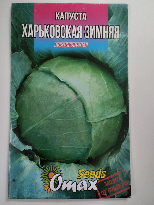 Капуста "Харківська Зимова" 5 гр Харків - фото 1