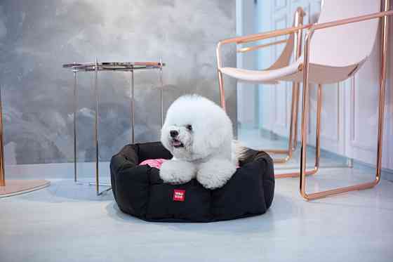 Лежанка для собак WAUDOG Relax, малюнок "Диво-жінка", зі змінною подушкою, S, Ш 34 см, Д 45 см, В 17 см Вінниця