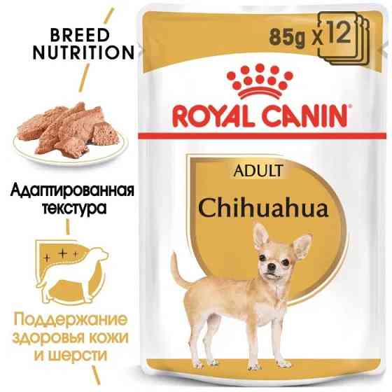 Роуал Canin Chhuahua (Рояв Канін Чіхуахуа Едалт) вологий корм для собак чіхухуахуа від 8 місяців 0,085 кг. Запоріжжя