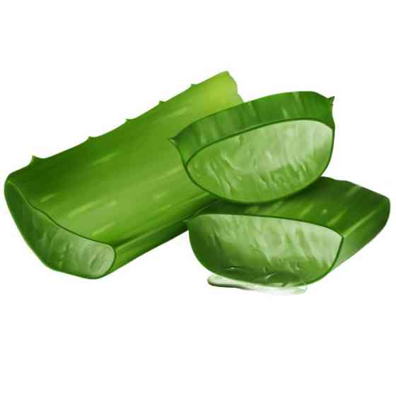 БИО-Спрей для термозащиты волос Logona 150 мл Киев