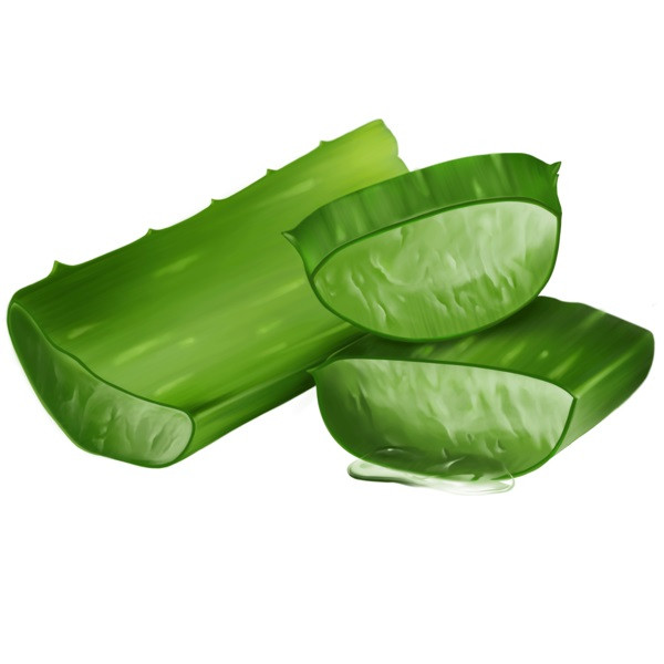 БІО-Спрей для термозахисту волосся Logona 150 мл Київ - фото 2