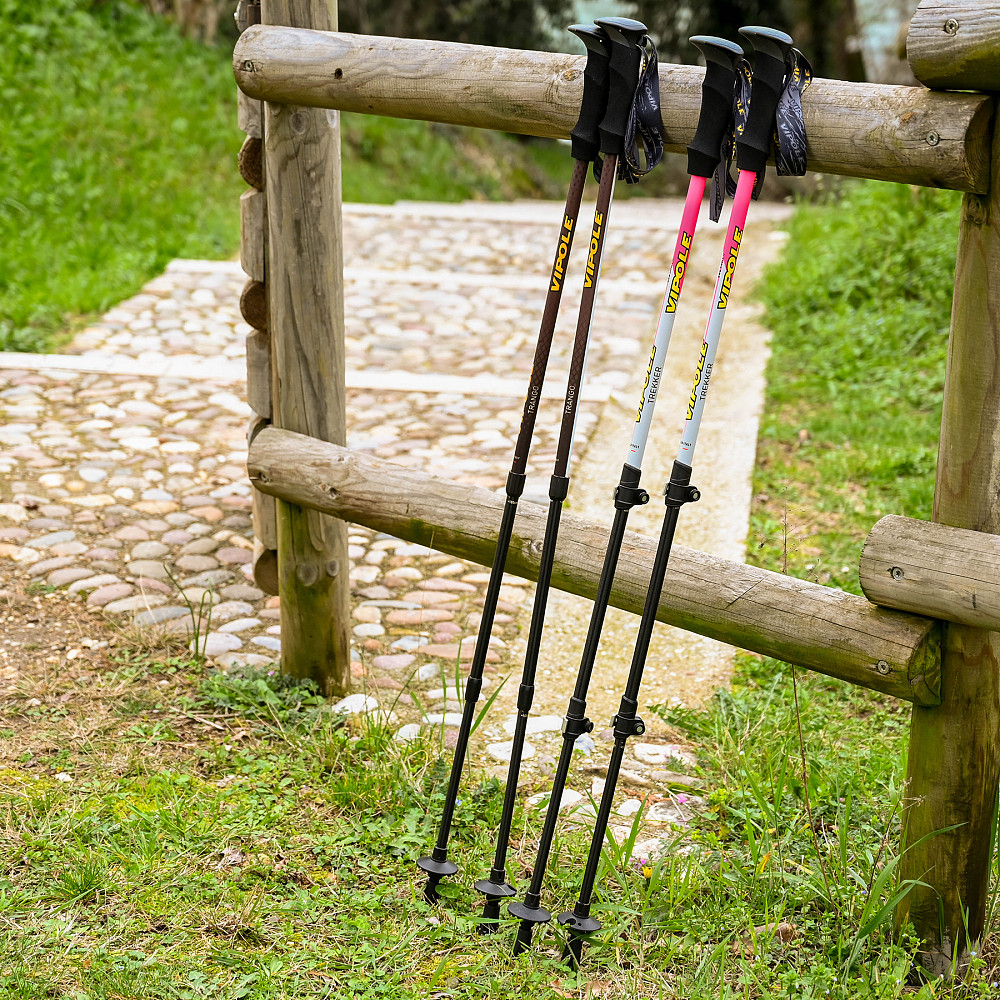 Палки трекинговые Vipole Trekker Violet (S25 11) Вінниця - фото 3