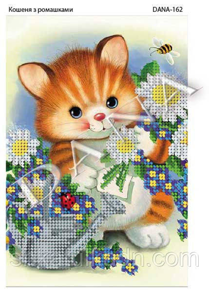 Схема для вышивки бисером Котенок с ромашками Днепр - изображение 1