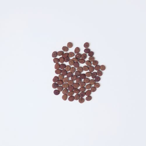 Корм сухий Carnilove True Fresh Cat Fresh Fish для дорослих котів з рибою 340 г Київ - фото 2