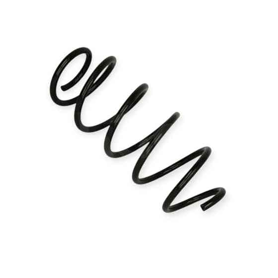 Пружина Ford Fusion 1.4, 1.6D (04-12) (універсал) передня Мукачево