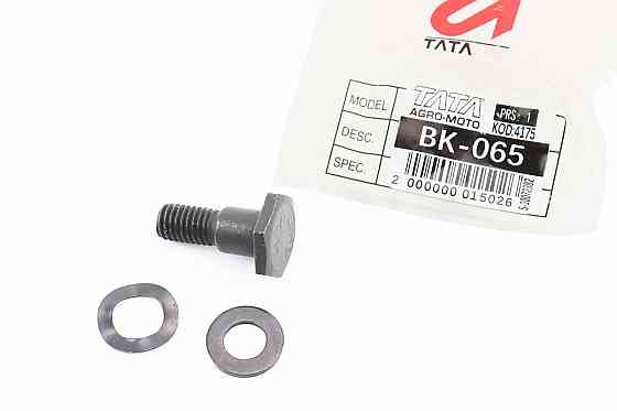 Болт кріплення зчеплення M8x1,25 + шайба 2шт к-кт Киев