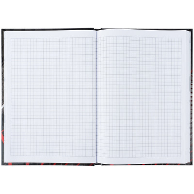 Книга записная Axent R&B Ladder А5, 96 листов, клетка, твердая обложка (8457-6-A) Винница - изображение 4