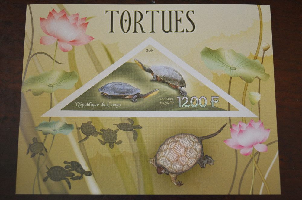 Конго. Фауна. Личности. Блок. 2014 р. (А-34) Полтава - фото 1