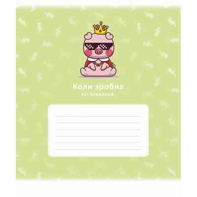 Тетрадь Школярик Красивая идея 24 листа линия (024-3484L) Винница