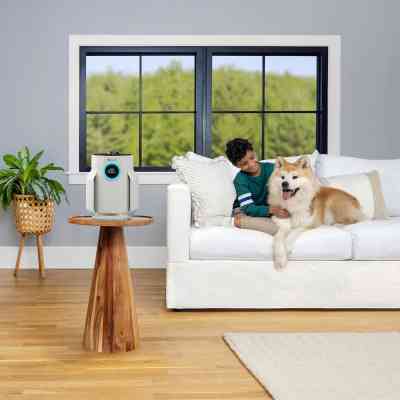 Очисник повітря Shark NeverChange5 Air Purifier Compact Pro (HP072EU) Вінниця