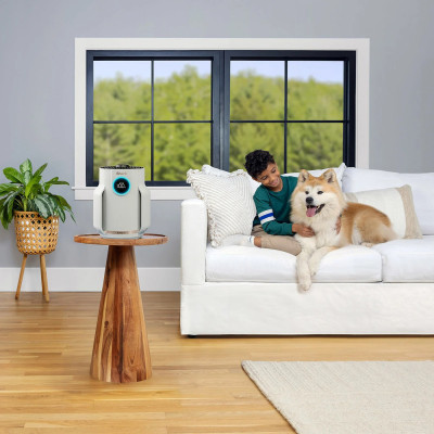 Очисник повітря Shark NeverChange5 Air Purifier Compact Pro (HP072EU) Вінниця - фото 6