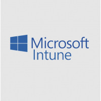 Офісний додаток Microsoft Intune Storage Add-on P1Y Annual License (CFQ7TTC0LCH4_0006_P1Y_A) Київ - фото 1