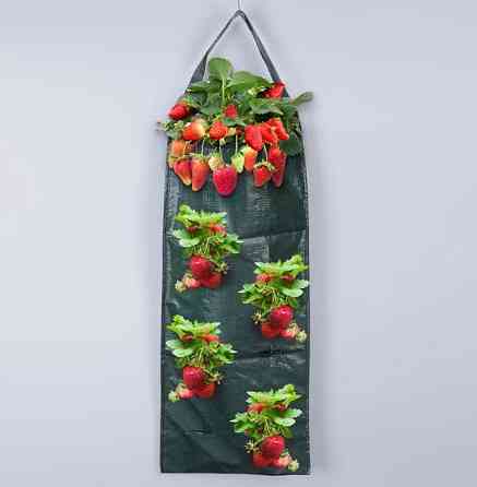 Вазон кашпо мешок для вертикального выращивания саженцев в теплице,саду огороде подвесной вазон для Каменец-Подольский