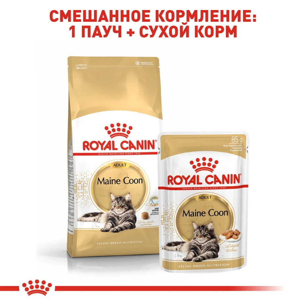 Royal Canin Maine Coon Adult (Рояв Канін Мейн Кун Едалт) сухий корм для котів мейн-кун від 15 місяців 10 кг. Запоріжжя - фото 6