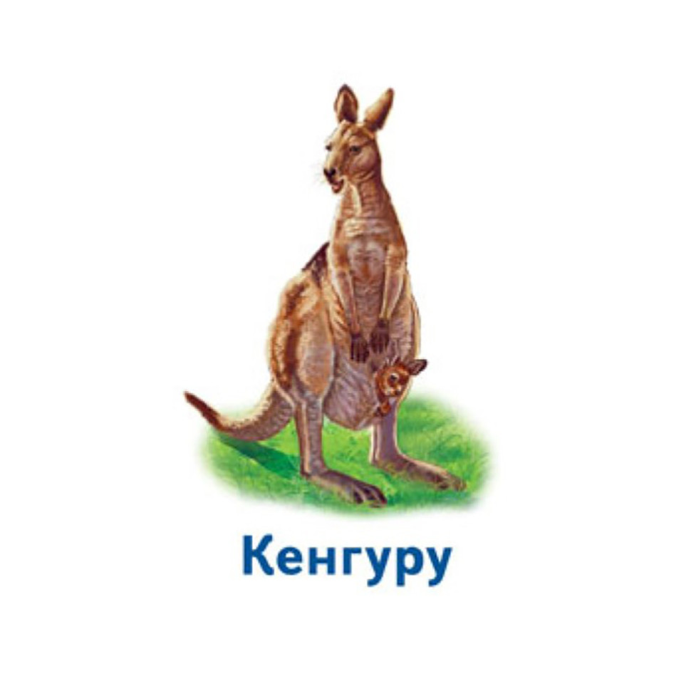 Настольная игра Парочки: Мир животных 1392003, 6 игр Винница - изображение 4