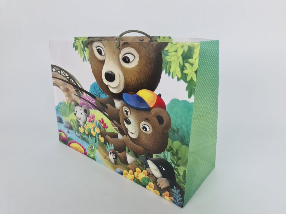 Бумажный большой горизонтальный пакет  36/22/10(артBG-164) (12 шт) Харьков - изображение 2