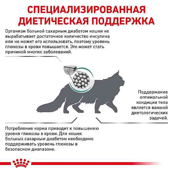 Royal Canin Diabetic (Рояв Канін Діабетик Фелін) сухий корм для кішок при цукровому діабеті 1.5 кг. Запоріжжя