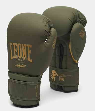 Боксерські перчатки Leone Mono Military 10 ун. Кам'янське