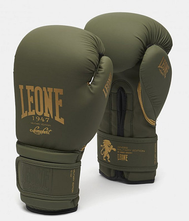 Боксерські перчатки Leone Mono Military 10 ун. Кам'янське - фото 1