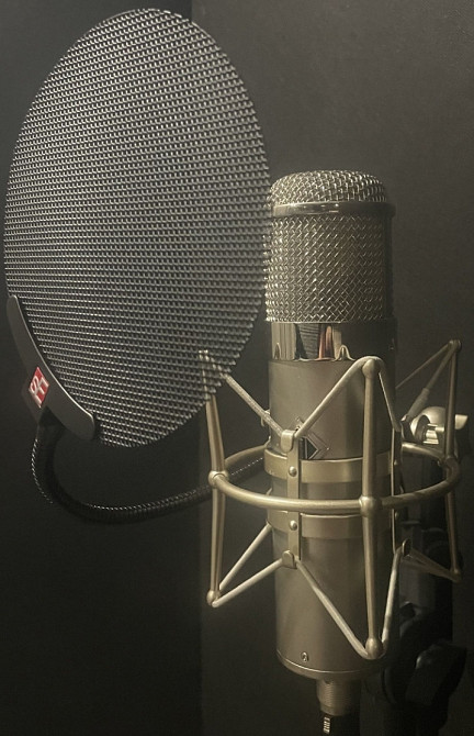 Микрофон Slate Digital ML-1 Limited Edition. Київ - фото 3