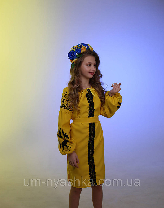 Дитяча вишита сукня з ластівками 104-152 Кривой Рог - изображение 5