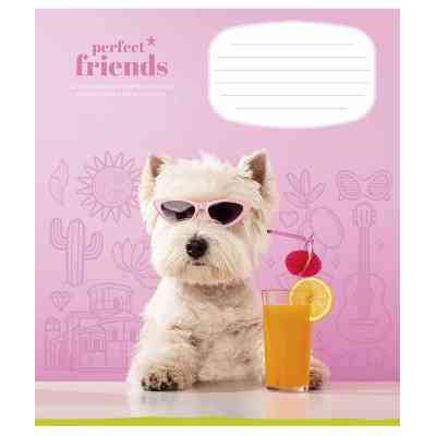 Зошит Школярик Perfect friends 12 аркушів клітинка (012-3250K) Вінниця