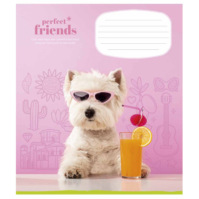 Зошит Школярик Perfect friends 12 аркушів клітинка (012-3250K) Вінниця - фото 4