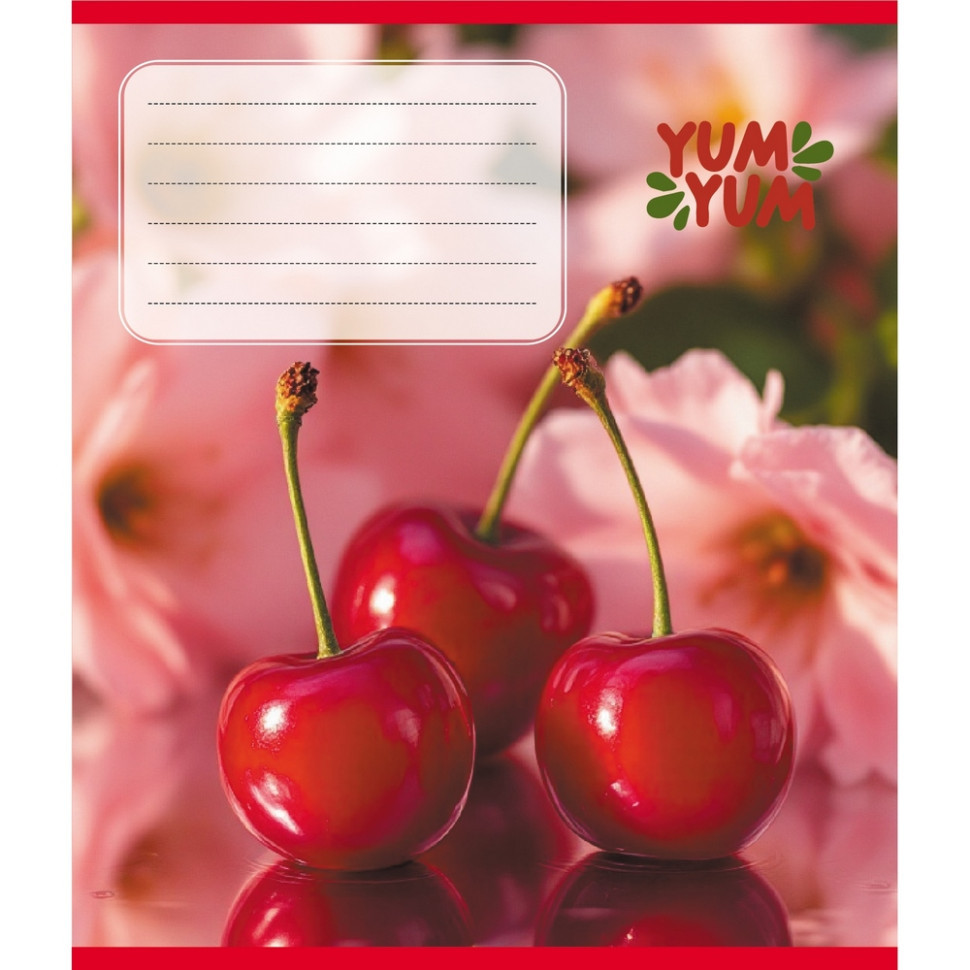 Зошит учнівський "Фрукти" 036-580143L-4 в лінію, 36 аркушів Вінниця - фото 1