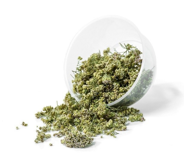 Тисячелистник/ Деревій (цвіт), 1кг. Київ - фото 1