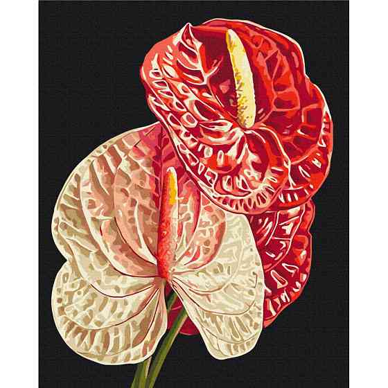 Картина за номерами "Антуріум" BS54136, 40х50 см Вінниця