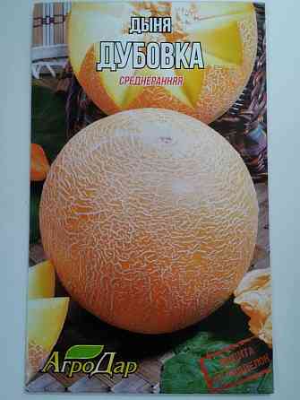 Дыня  