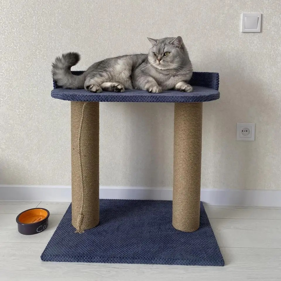 Когтеточка с большой лежанкой для кошек, когтеточка для котов 61×60×40 см Киев - изображение 6
