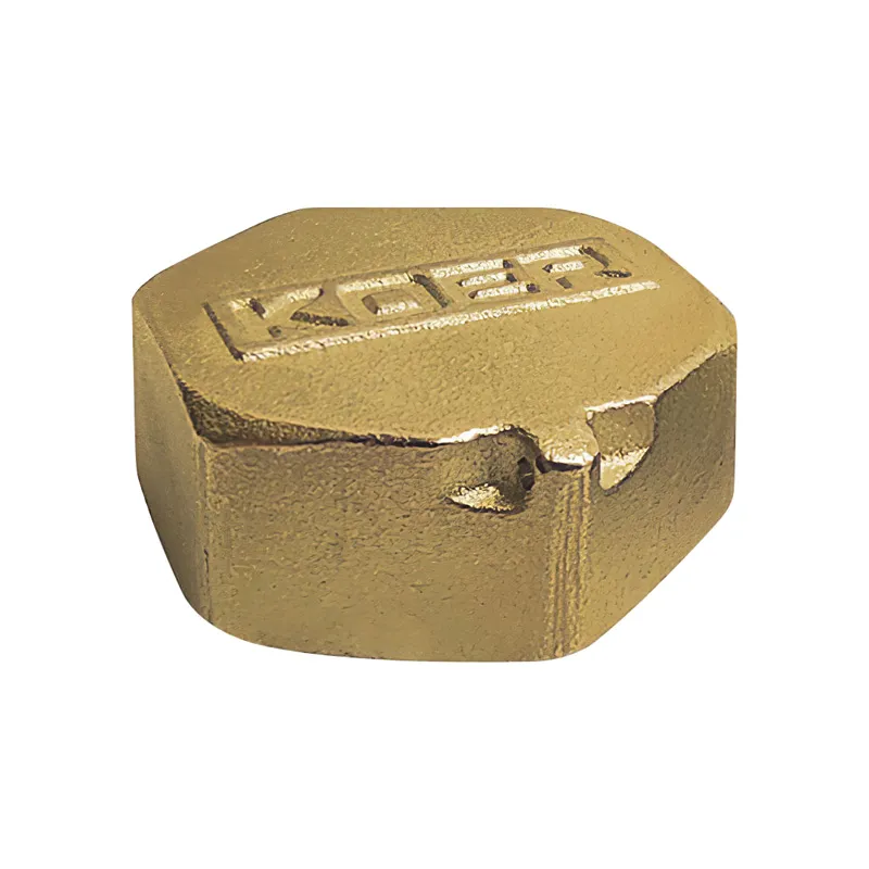 Заглушка Koer KF.P10F.WN - 1'' (без нікелю) (KR3100) Київ - фото 1