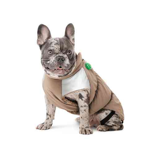 Жилет Chip для собак такса XS Киев