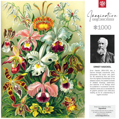 Пазл GoodLoot Imagination: Orchid Ernst Haeckel 1000 ел. (5908305247531) Вінниця - фото 6
